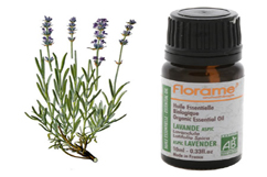 Lavender aromatherapy